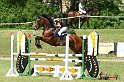 204M3680_Chins Dorado_Spring_L